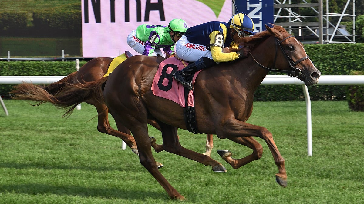 God s Tipster s Saturday Belmont At Aqueduct And Keeneland Picks 5 god-s-tipster-s-saturday-belmont-at-aqueduct-and-keeneland-picks-5