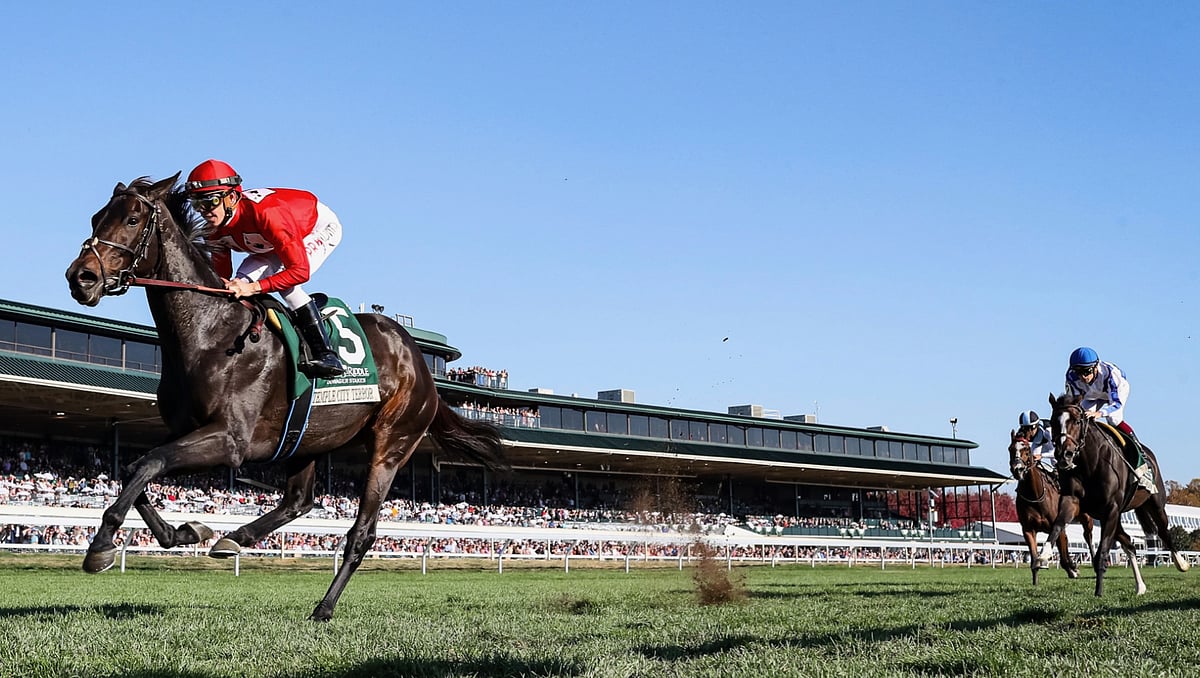 God's Tipster's Wednesday Keeneland Pick The 6th has a Steve Asmussen