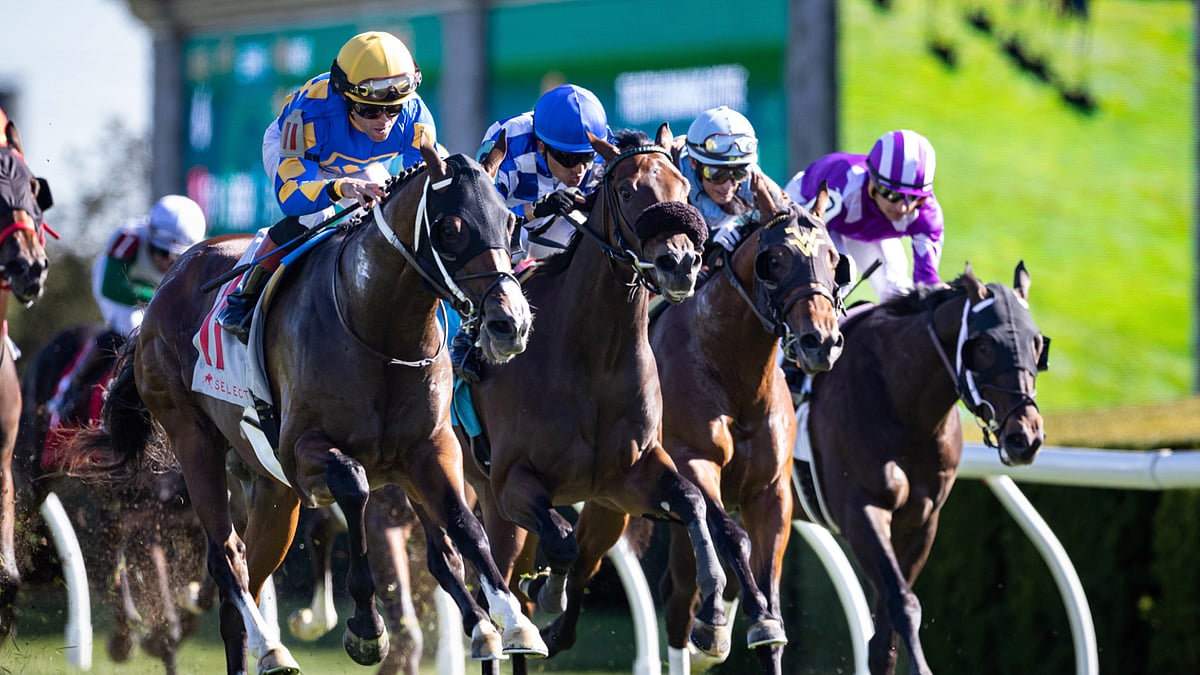 God's Tipster's Wednesday Keeneland Pick: The 7th is dirt route for 2yos โ pick broke his maiden God's Tipster's Wednesday Keeneland Pick: The 7th is dirt route for 2yos โ pick broke his maiden