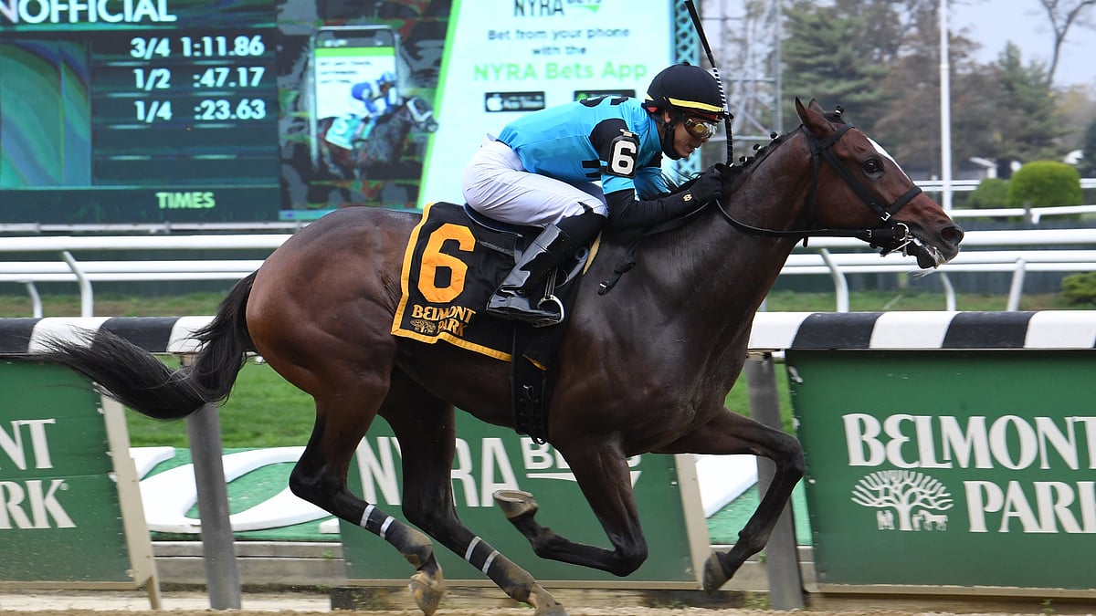 God s Tipster s Sunday Belmont At Aqueduct Pick The 10th The Sleepy god-s-tipster-s-sunday-belmont-at-aqueduct-pick-the-10th-the-sleepy