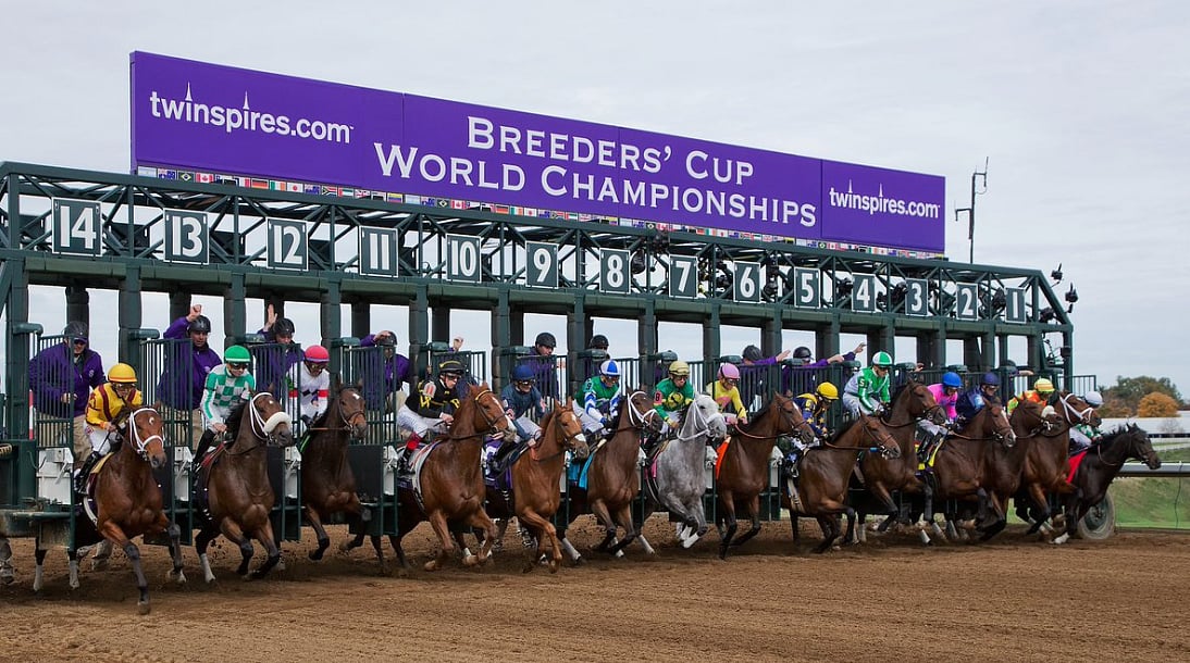 God's Tipster's Friday Breeders' Cup Picks All 10 races on the