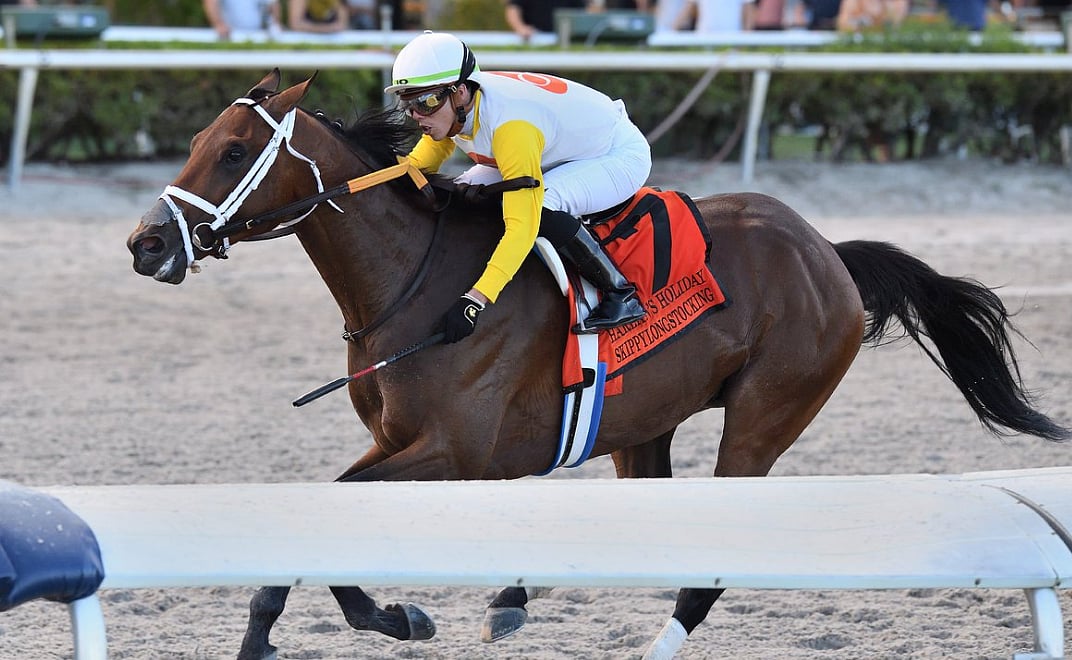 God's Tipster's Sunday Gulfstream Park Pick The 9th is the mile Mucho