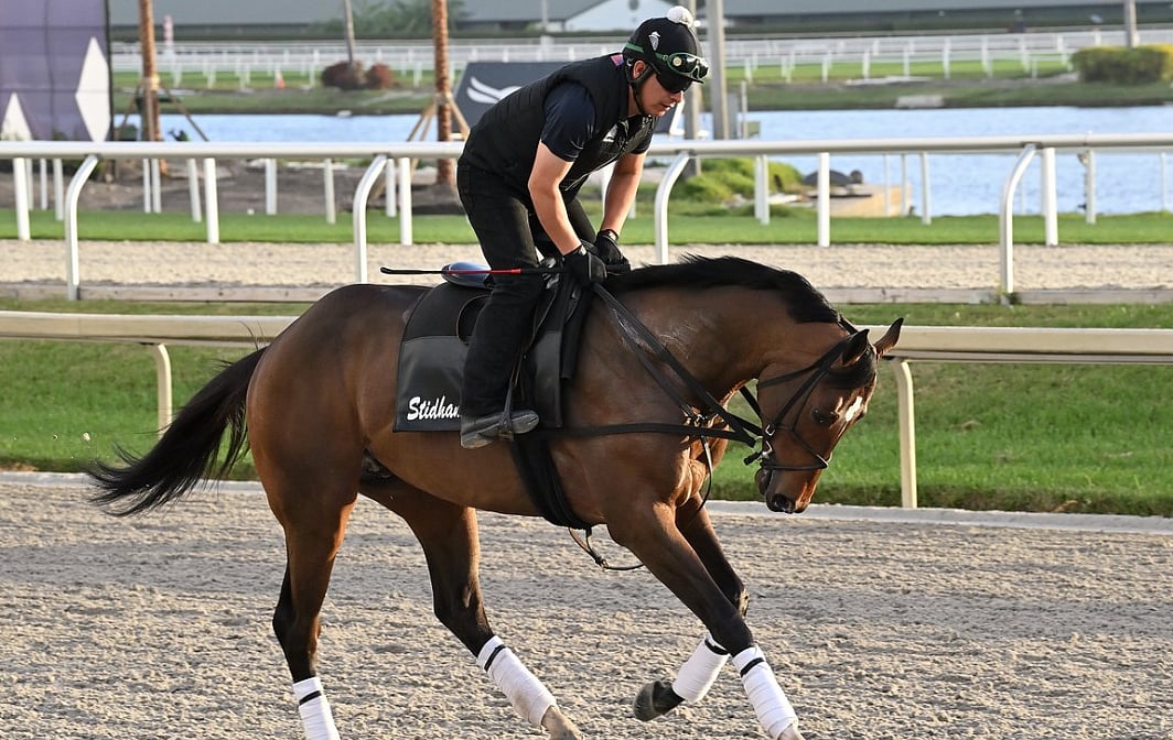 God's Tipster's Pegasus Day Gulfstream Park Picks 6 races from Florida