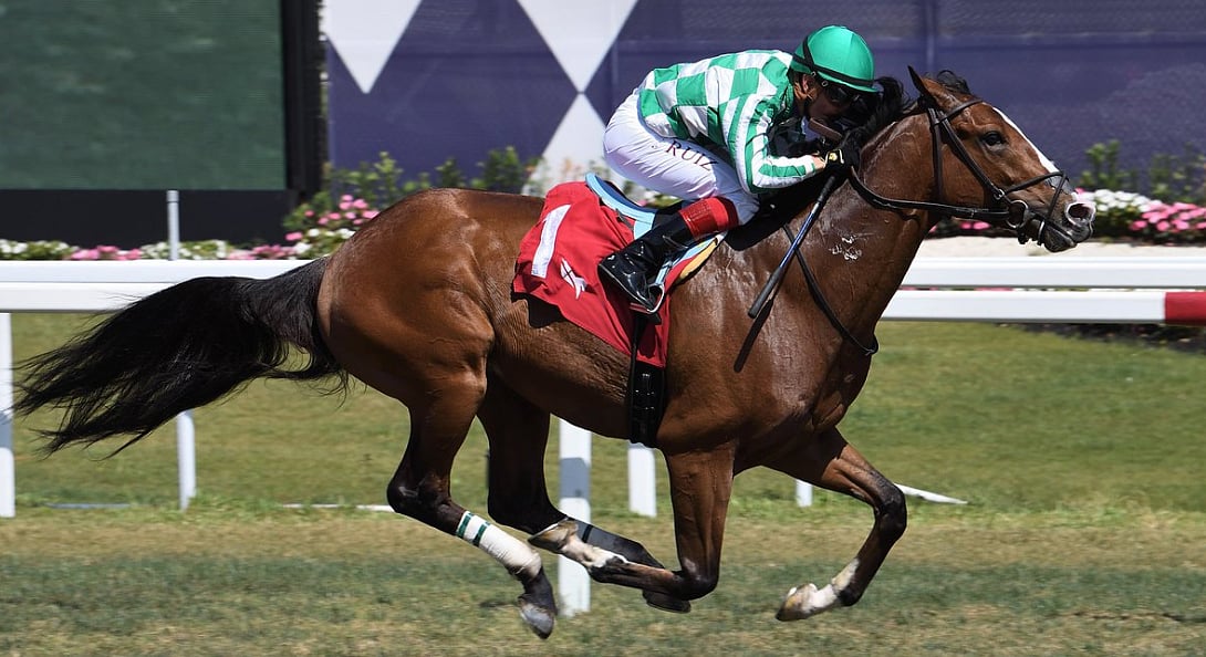 God's Tipster's Sunday Gulfstream Park Picks The 10th is a maiden turf