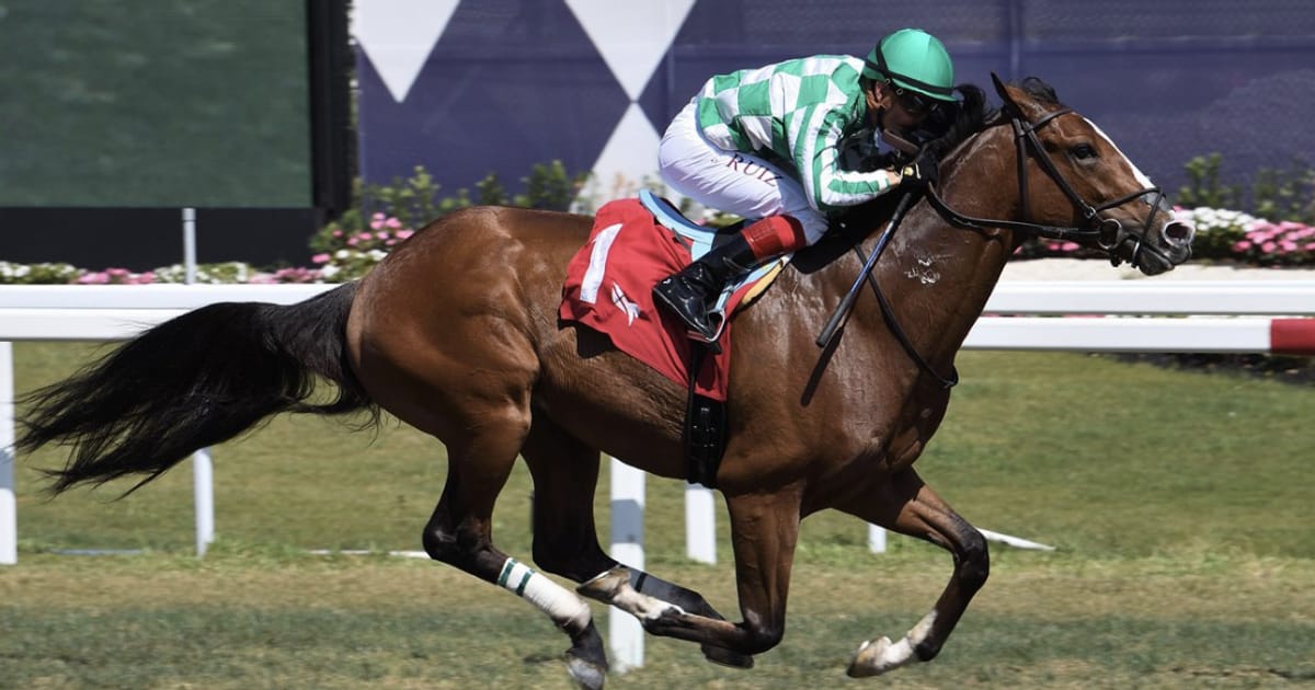 God s Tipster s Sunday Gulfstream Park Picks The 10th Is A Maiden Turf god-s-tipster-s-sunday-gulfstream-park-picks-the-10th-is-a-maiden-turf