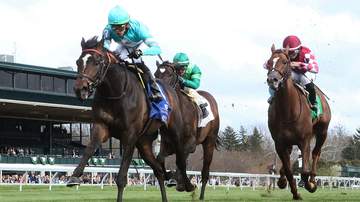 Garrity's Friday Dad's Hat Happy Hour Handicapping picks stakes races