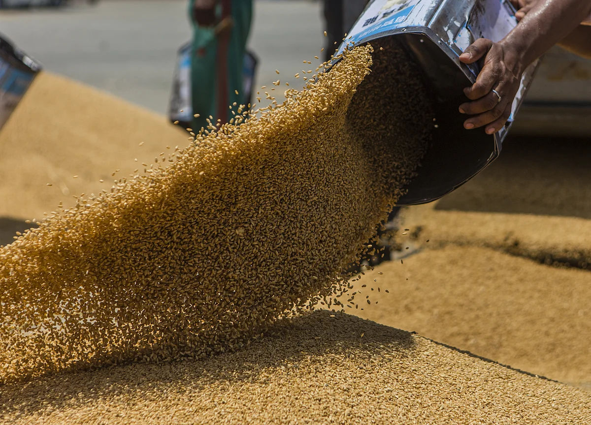 Government Hopeful Of Achieving Record Foodgrain Target For FY20