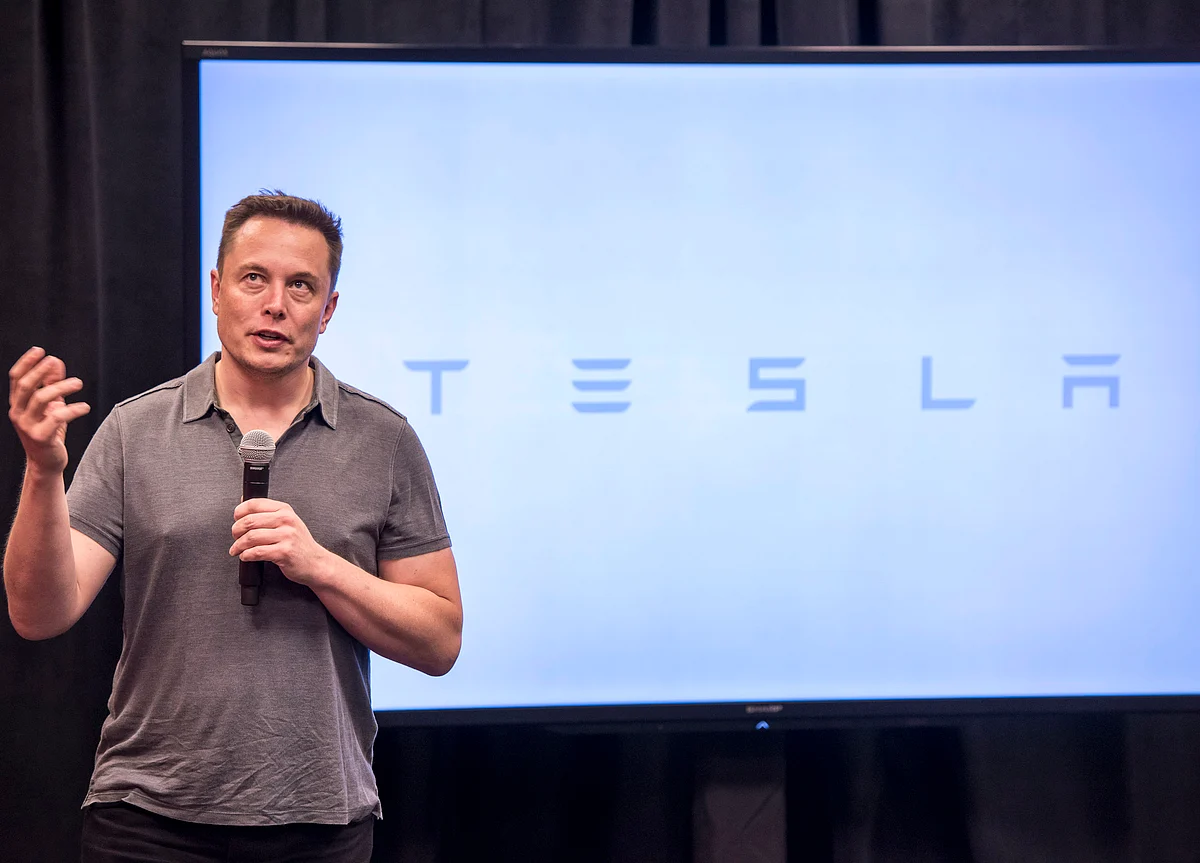 Musk Donates 1 Million Trees to Global Reforestation Campaign