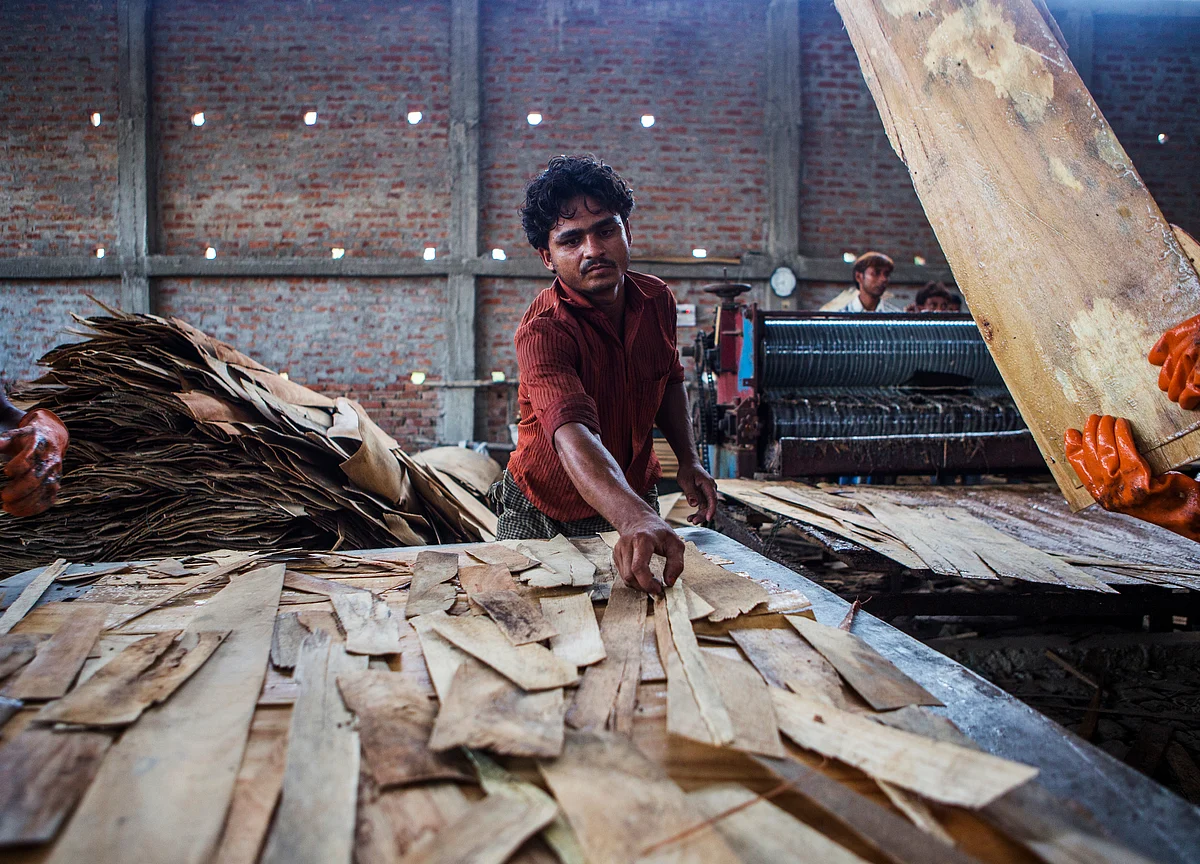 A ‘Jhatka’ To Push Formalisation In The Economy Could Come At A Cost: Raghuram Rajan