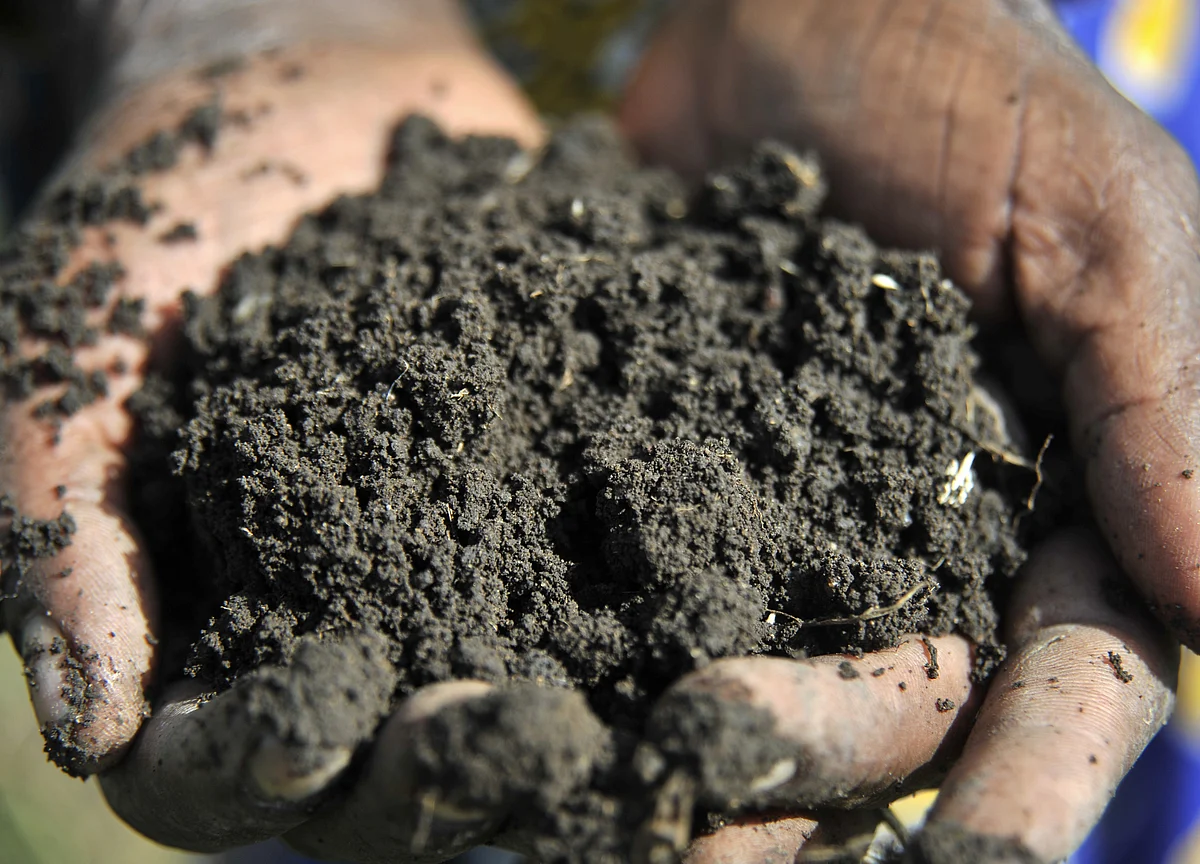 National Fertilizers To Invest Rs 1,250 Crore In Two Years On New Plant, Energy-Saving Projects