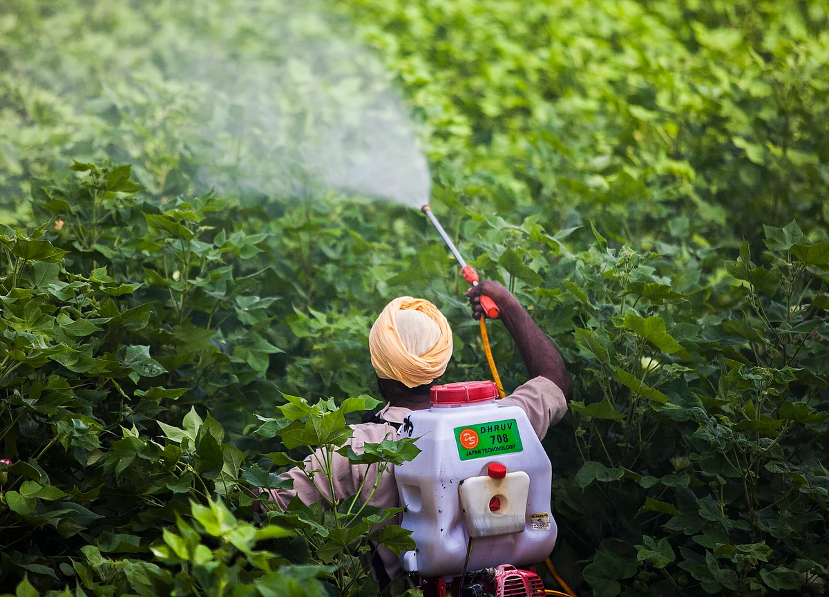 Insecticides India Expects New Product Launches To Aid Revenue In FY20