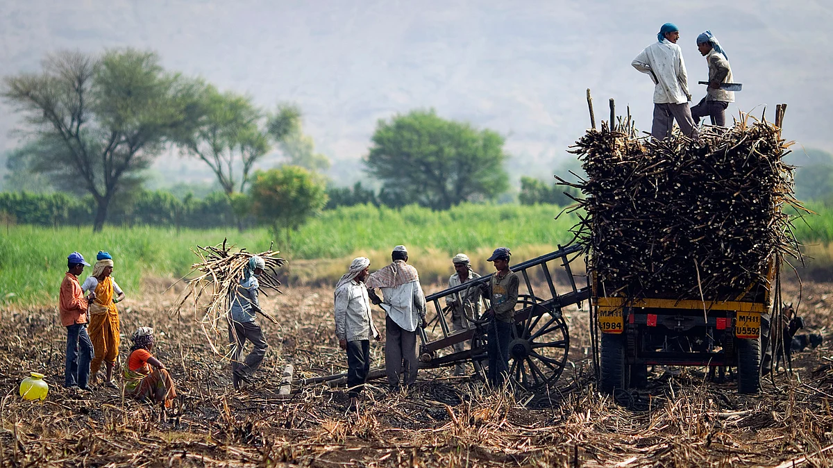 FM Jaitley had kept his budget for 2016-17 focused on the 834 million people who live in rural India. (Photo: Reuters)