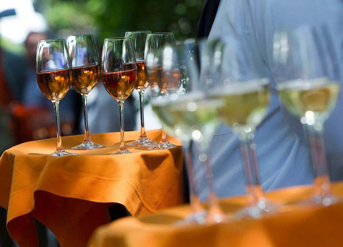 Swiss Wine Upstart Takes on the Old World Auctioneers