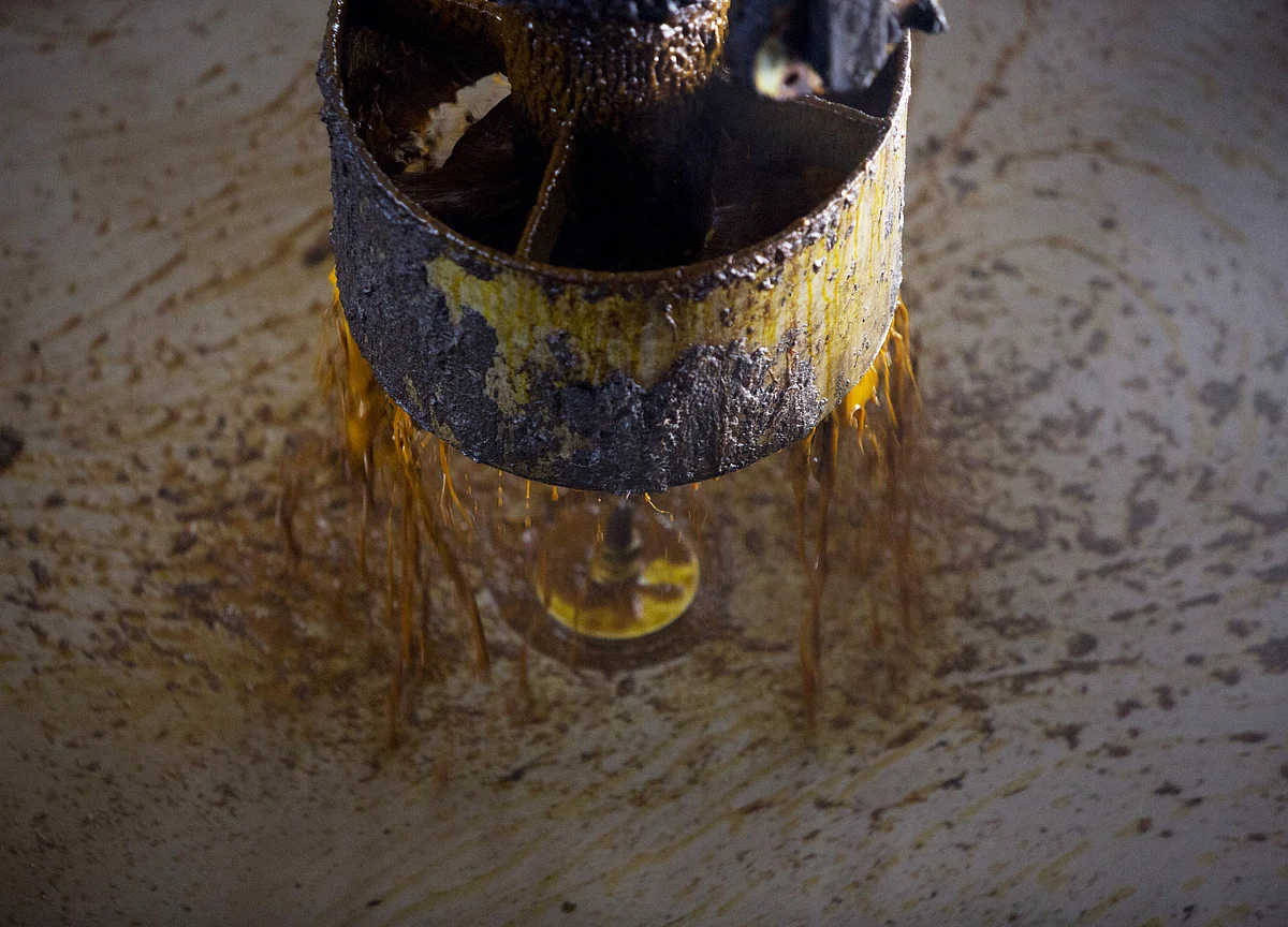 Palm Oil’s Changing Fortunes Signal Brighter Outlook in 2020
