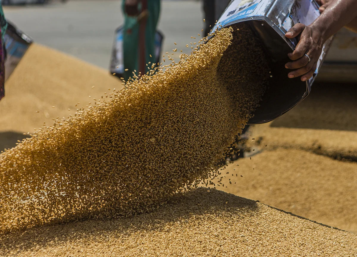 Cabinet Approves Distribution Of Free Foodgrains Till November 2020