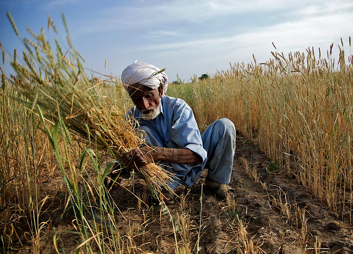 Over 50% Farmers Oppose Farm Laws, But A Third Have No Information, Says Gaon Connection Survey