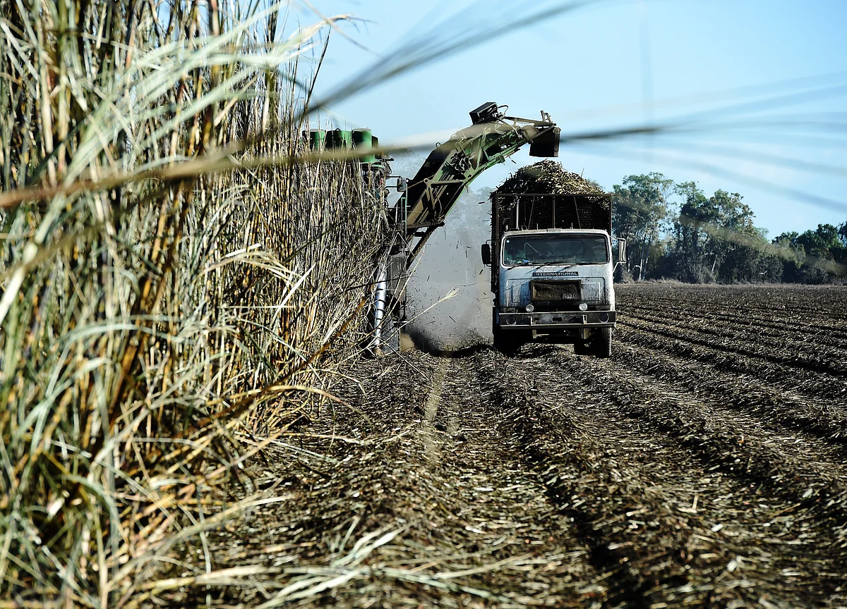 Balrampur Chini Sees Government Push For Ethanol Bringing Stability For Sugar Suppliers