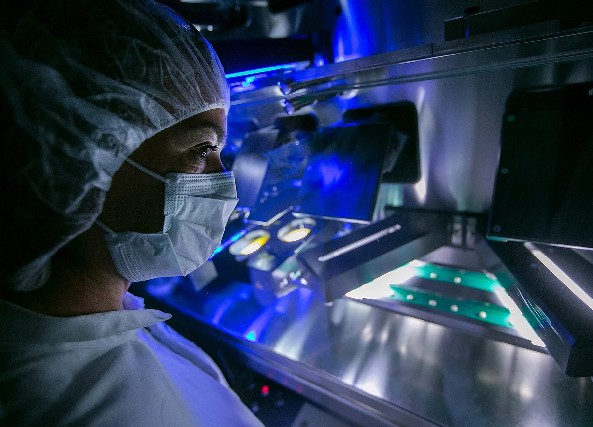 Big Pharma Bets on Body’s Garbage-Disposal System to Beat Cancer