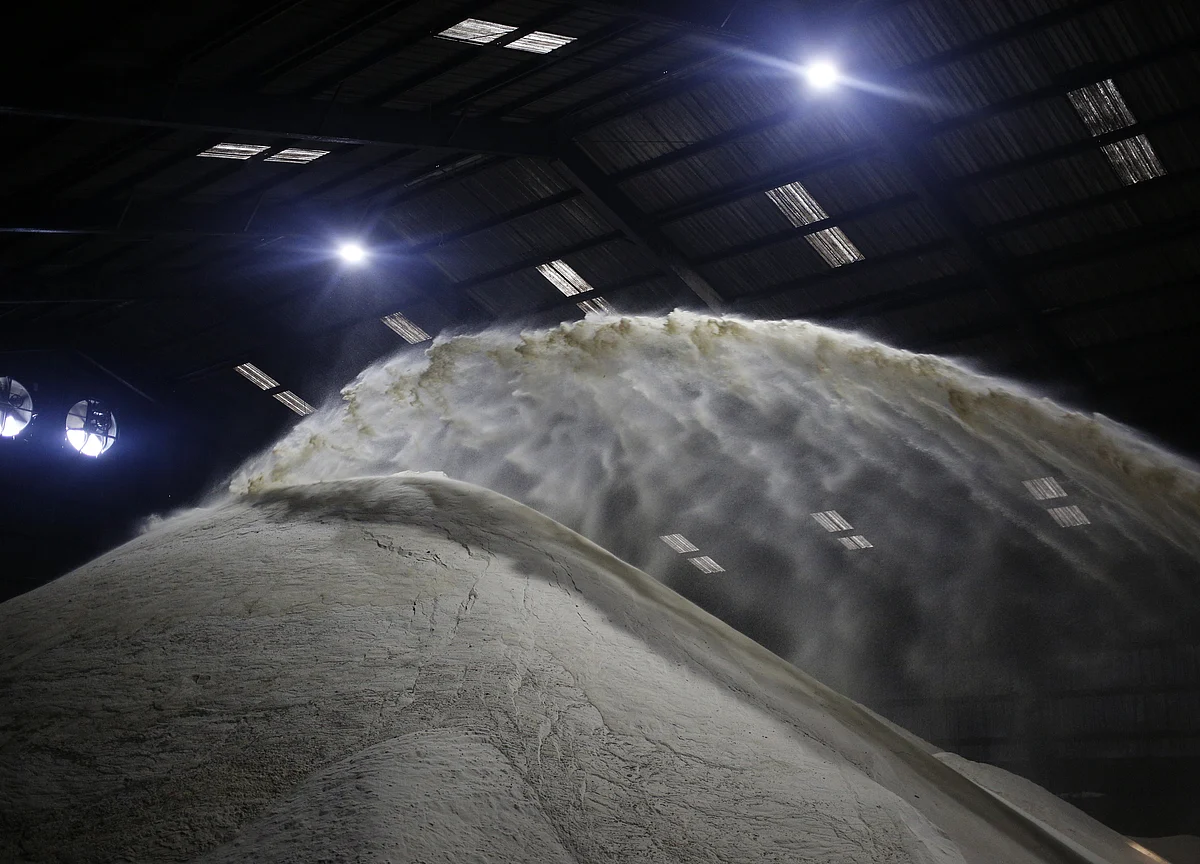 CBI Registers Rs 109 Crore Loan Default Case Against CMD Of Simbhaoli Sugars