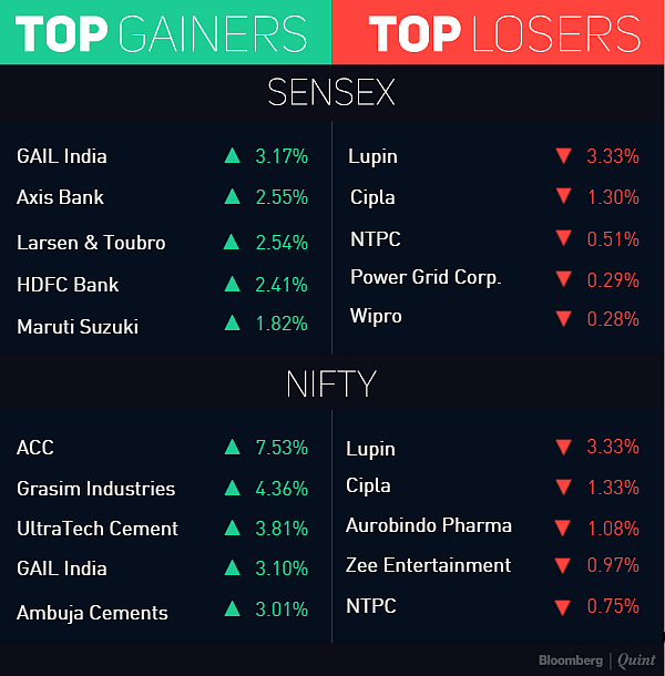 Nifty Posts Best Gain In Six Weeks; Cement Makers Jump