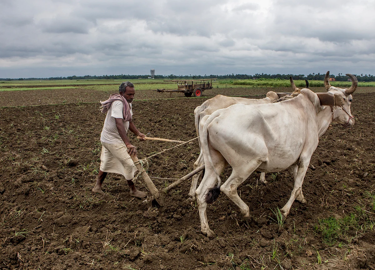 Harvesting, Sowing Activities, Highway ‘Dhabas’ Likely To Be Exempted From Lockdown