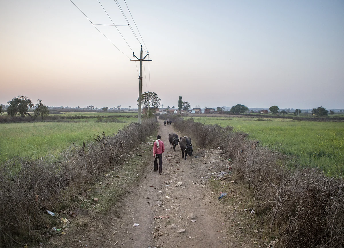 UP Government Announces Rs 36,359 Crore Farm Loan Waiver