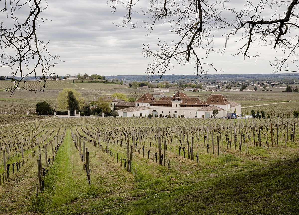 Bordeaux, Home to $4,000 Chateau Petrus, Ravaged by Spring Frost