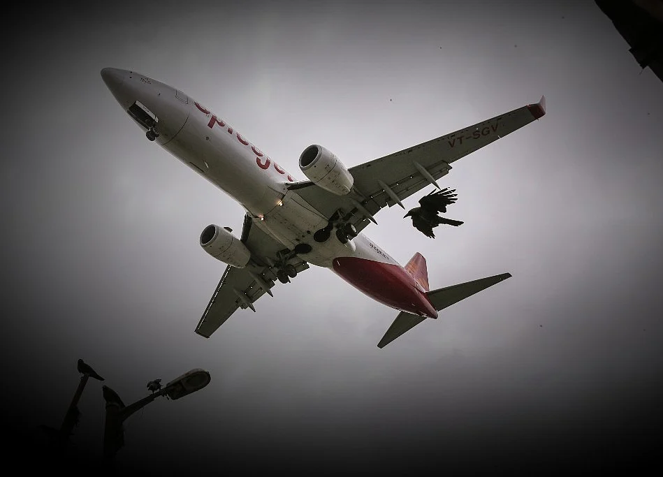 SpiceJet To Start Mumbai-Hong Kong Direct Flight From July-End