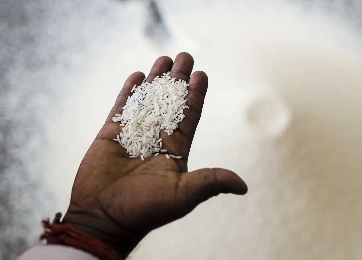 This Rice Exporter Expects Orders From Iran To Revive In January