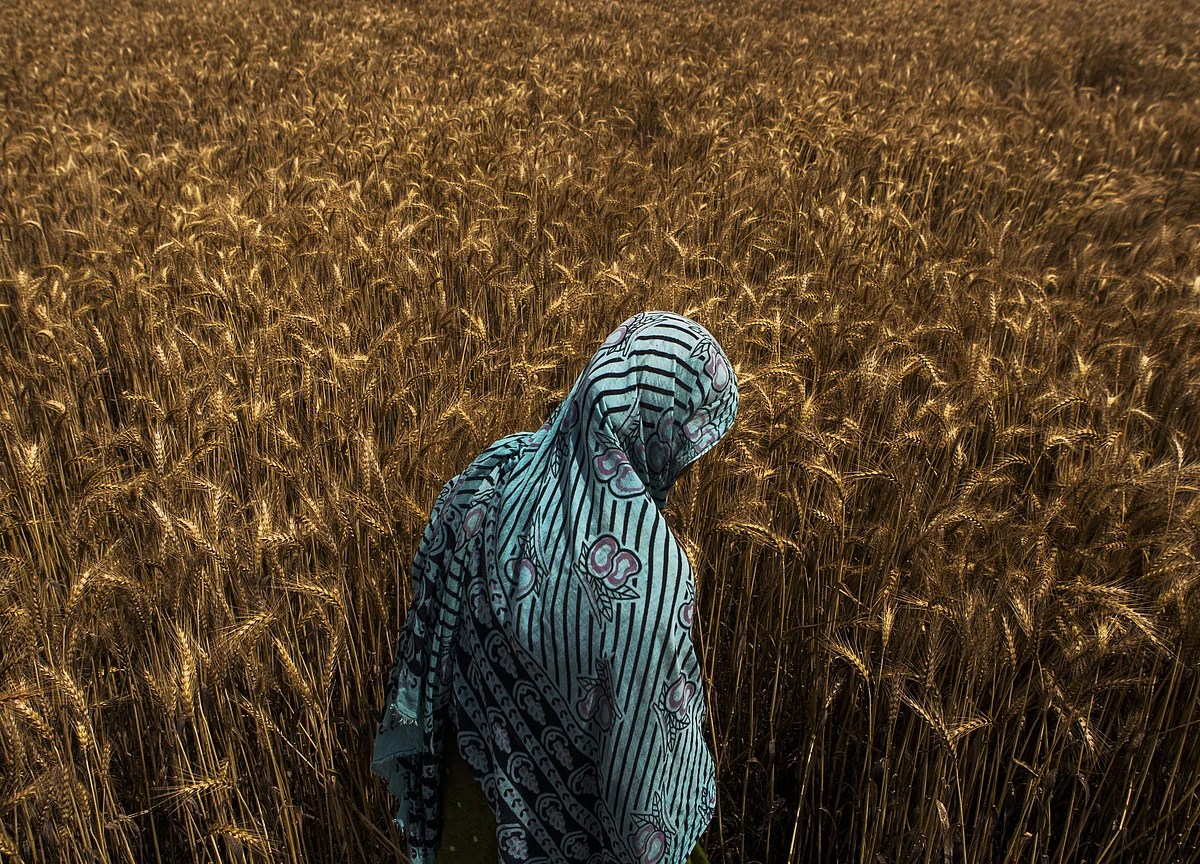 Farmer Distress Beyond Loan Waivers