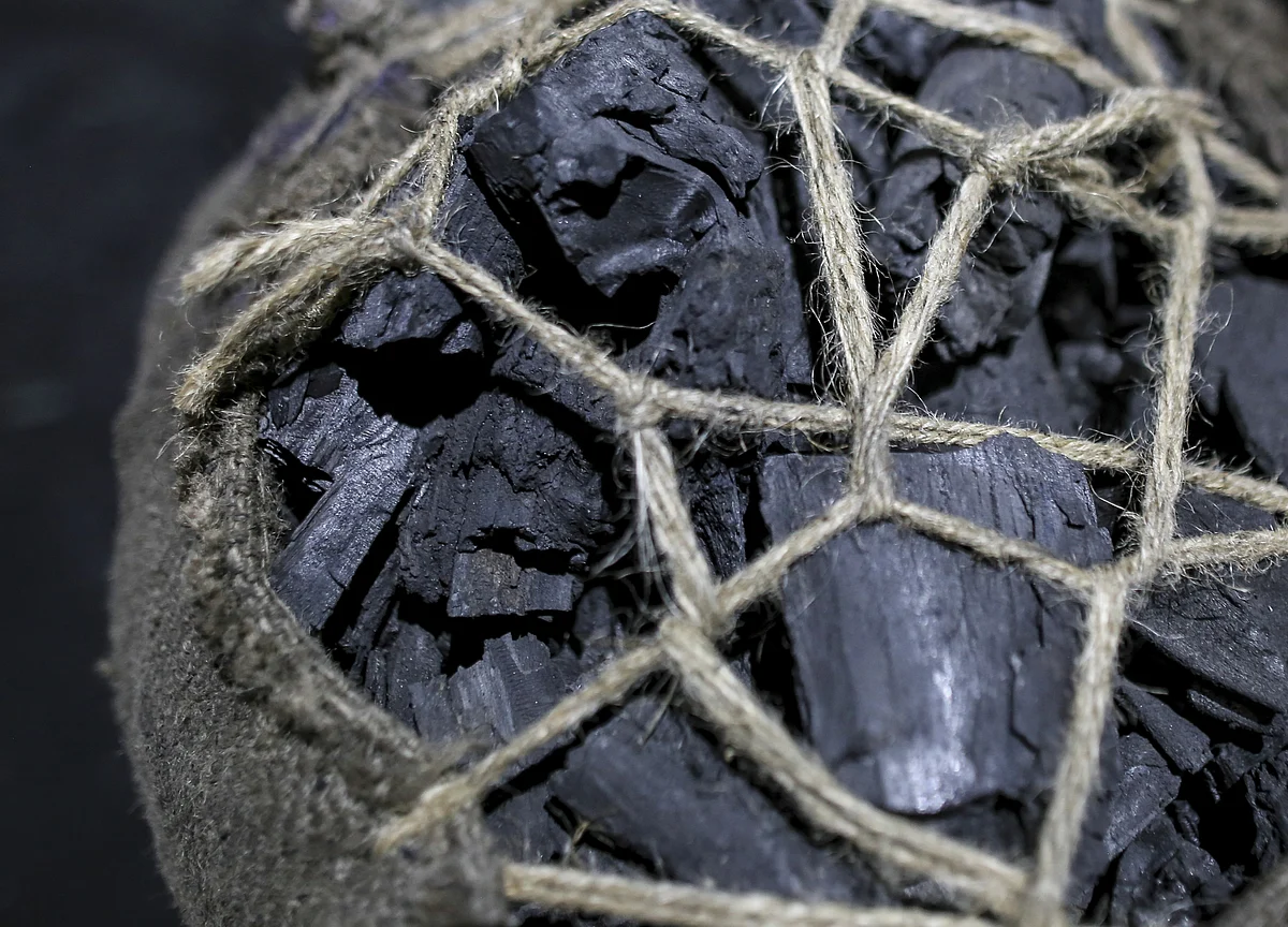 Tycoon Declares Coal Doomed in Last Bastion of Big Bank Aid