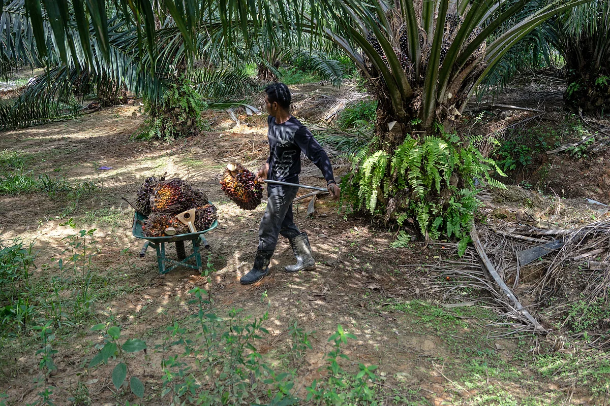 Najib Ups Battle for Malaysian Farmer Votes With Handouts