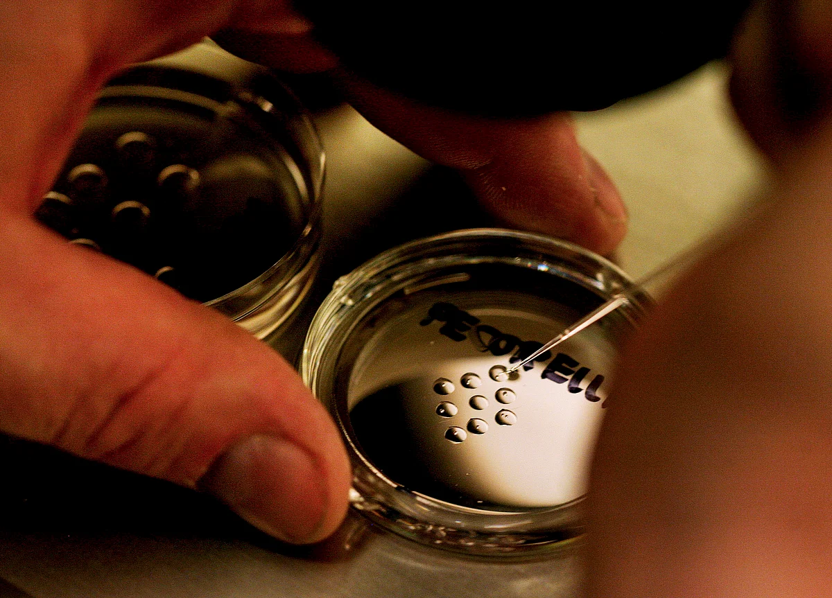 NCLAT Gives 30 Days More To Sterling Biotech Promoters To Settle Dues
