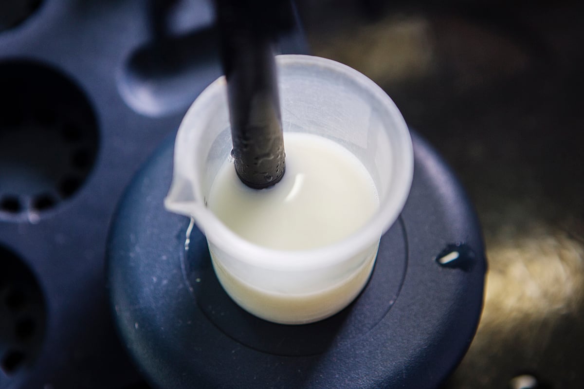 Ветеринарно-санитарная экспертиза молока и молочных продуктов. Введение молока. Пробы молока. Молоко в лаборатории. Анализ качества молока.