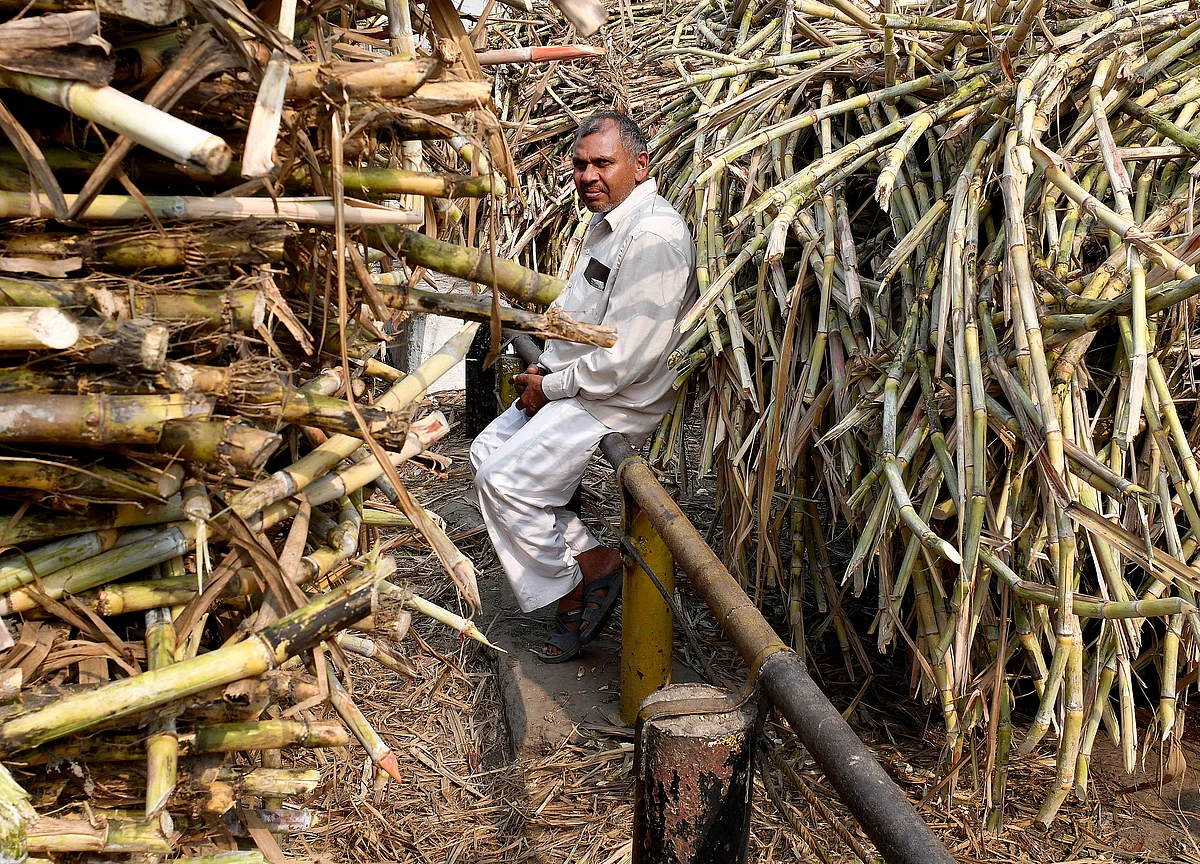 Sebi Chief For Wider Farmer Participation In Futures Trading