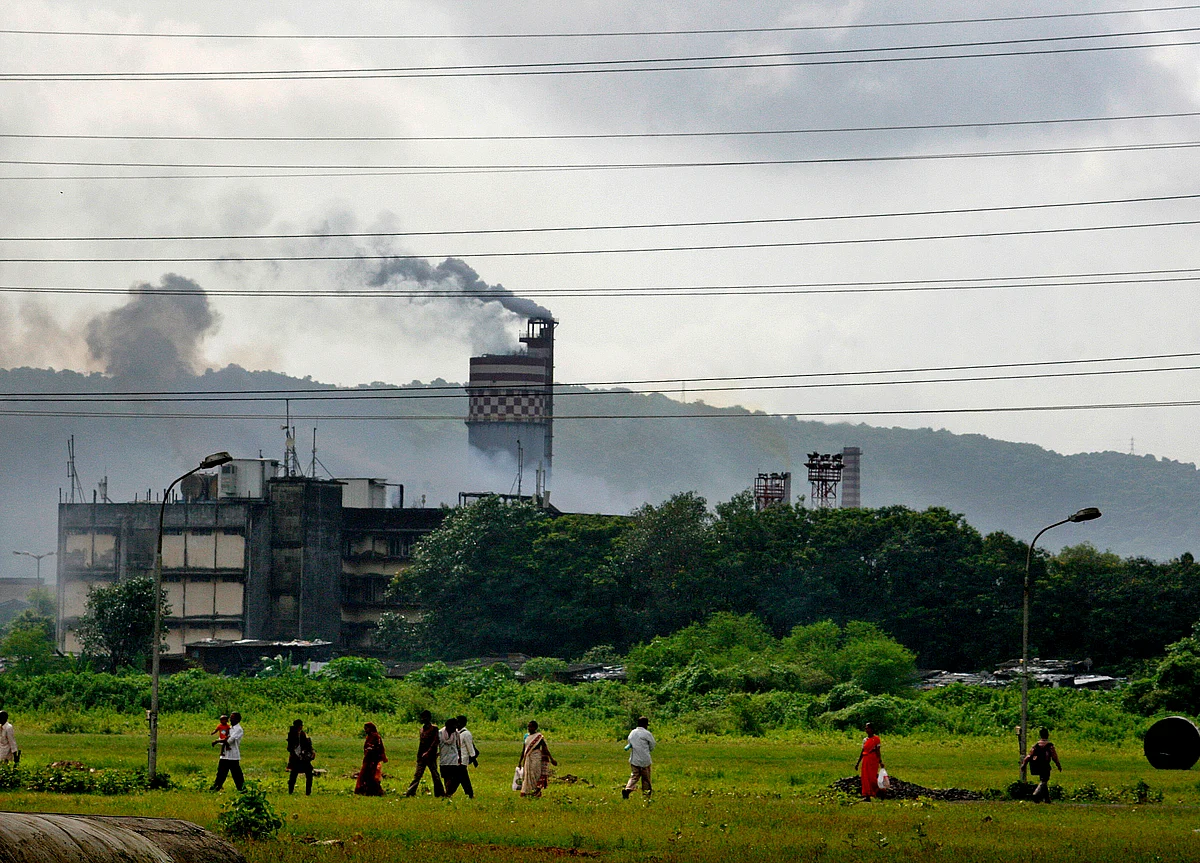 Meghmani Organics Plans Rs 540 Crore Capex To Boost Basic Chemical Segment