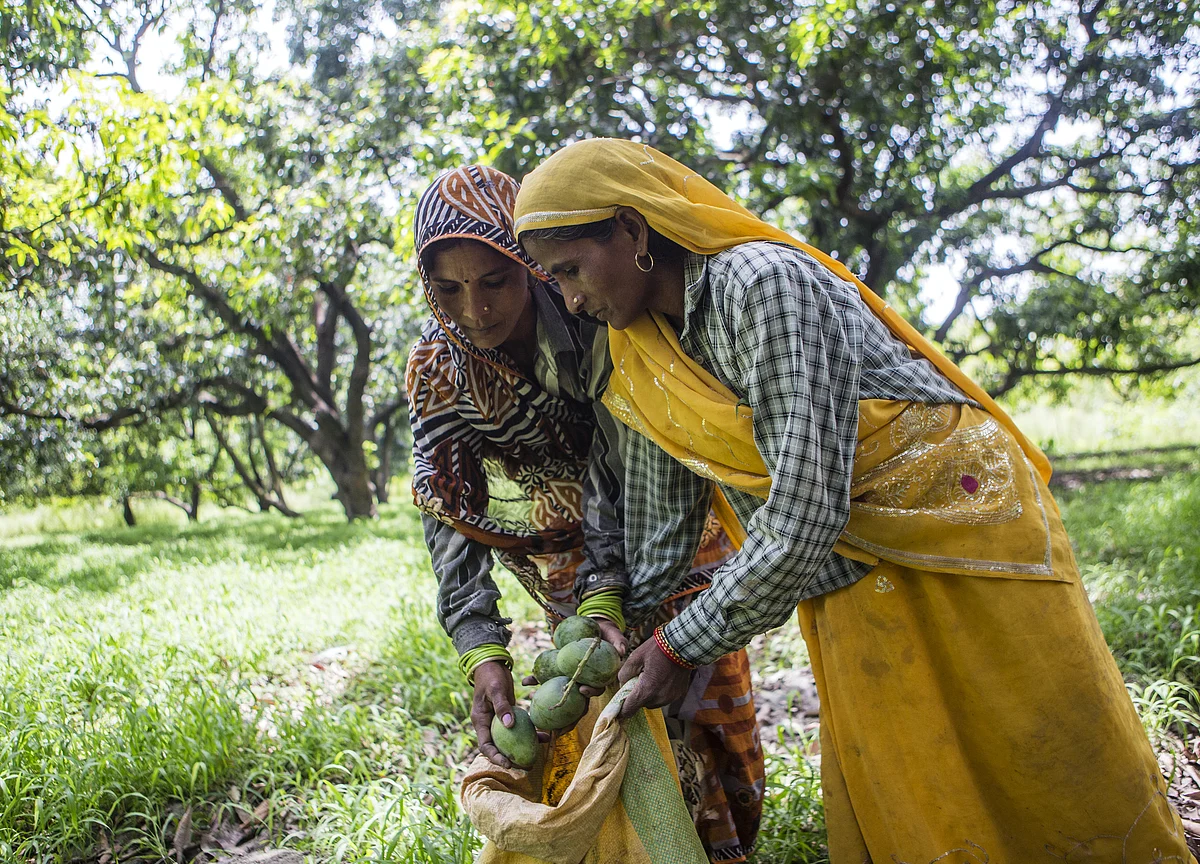 No Impact On NPAs Due To Farm Loan Waivers By States, Says Urjit Patel