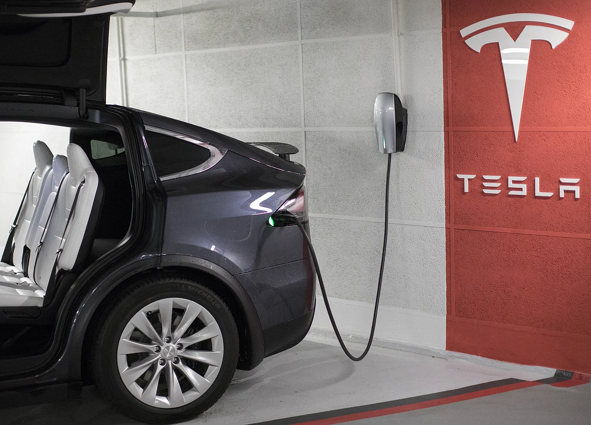 Man Who Joked With Musk About Sheep Says He Landed Job at Tesla