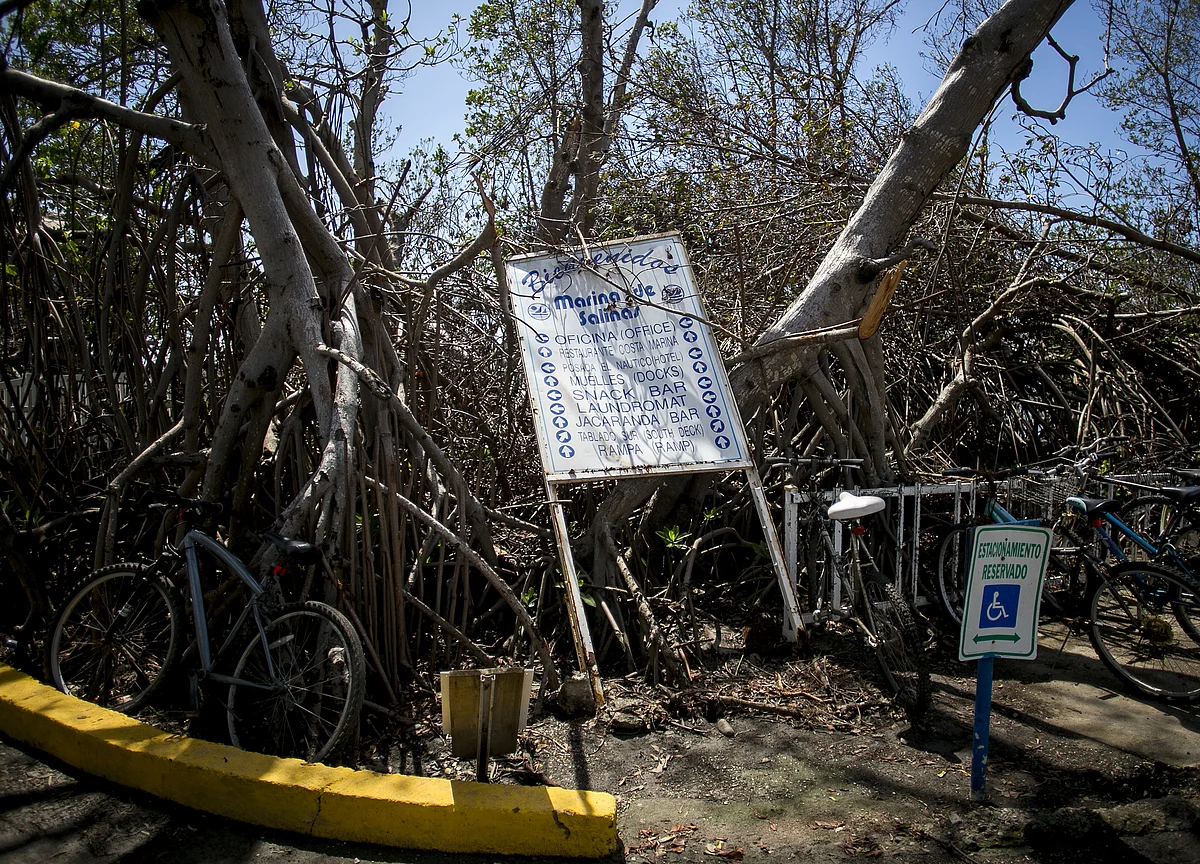 Once Again, Trump Tweets Misleading Data on Puerto Rico Aid