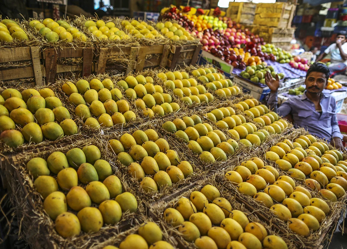 Maharashtra’s Farmers Are Struggling To Ship Their Mangoes Amid Lockdown