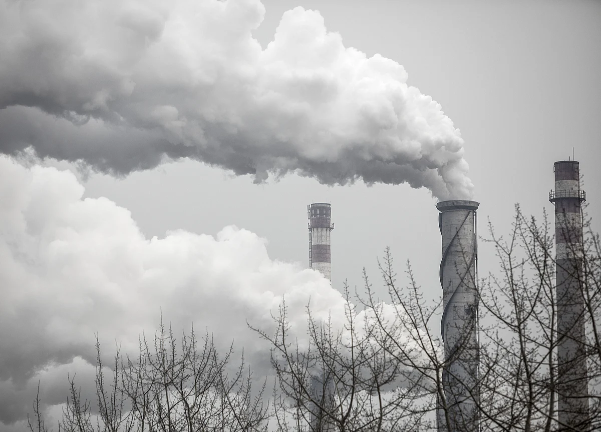 Climate Fight Takes a Blow With No Deal on Carbon Markets