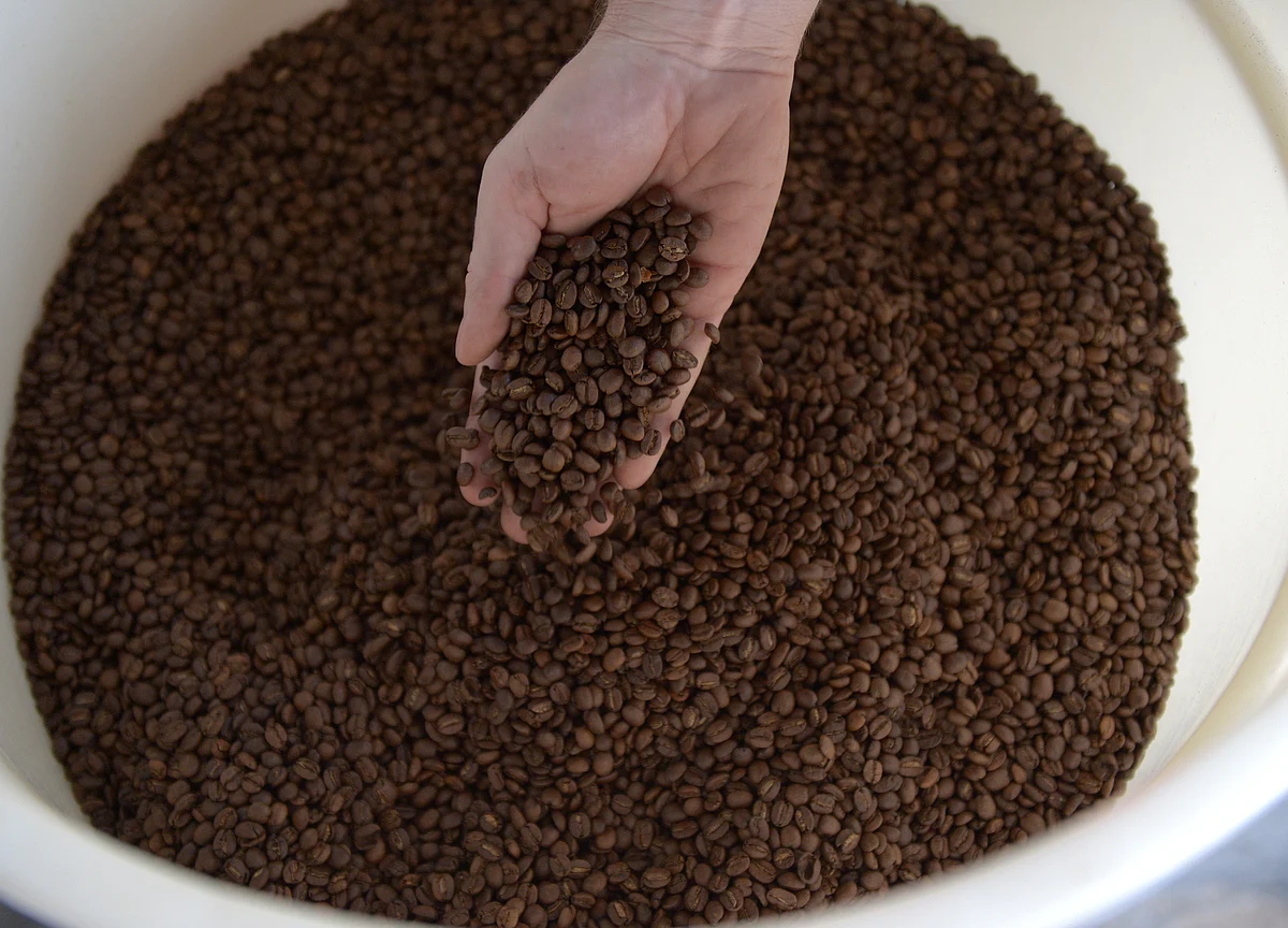Your Cup of Coffee May Get Cheaper With a Flood of Robusta