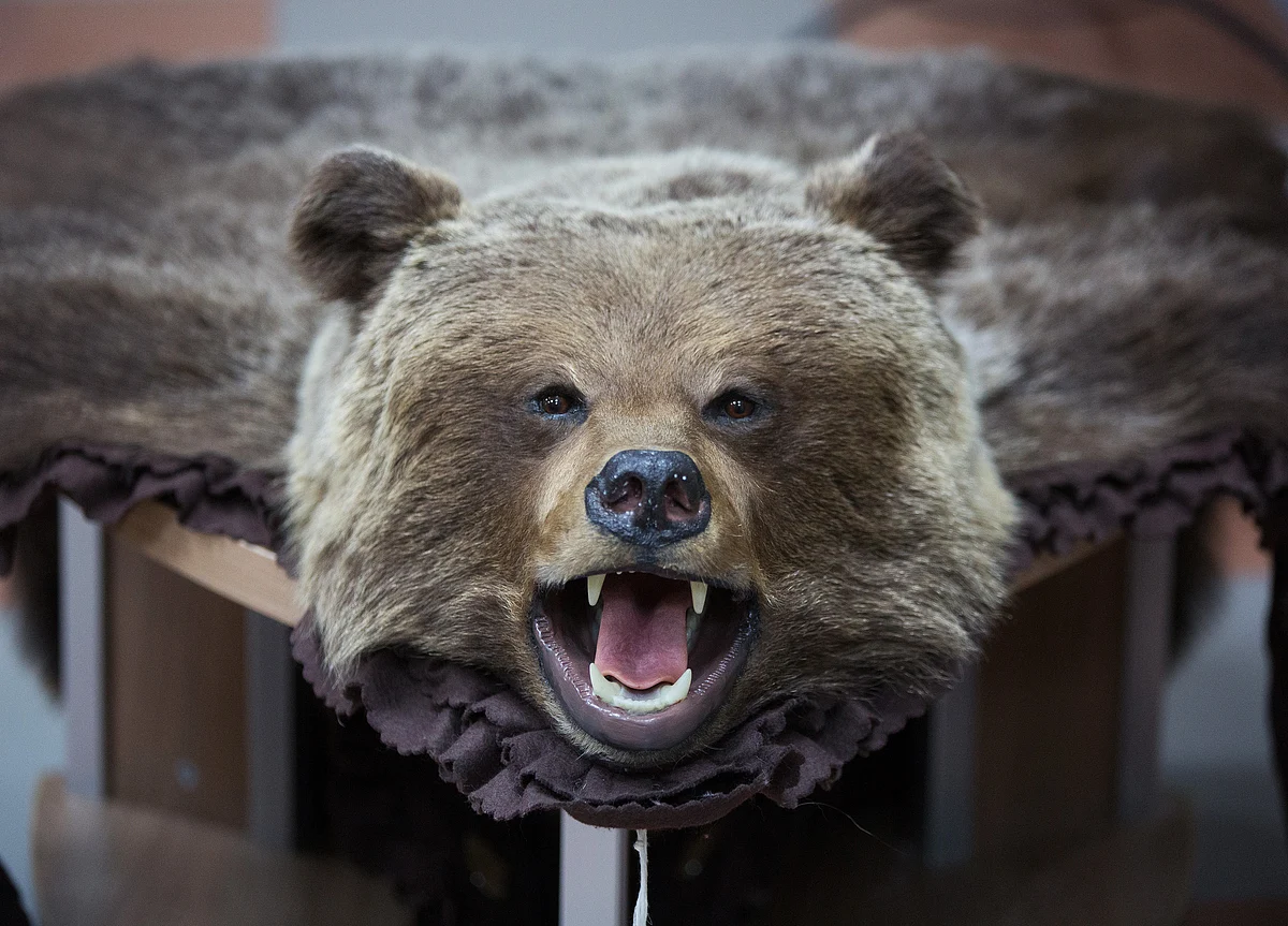 Investors Haven’t Been This Bearish Since 2008 Financial Crisis