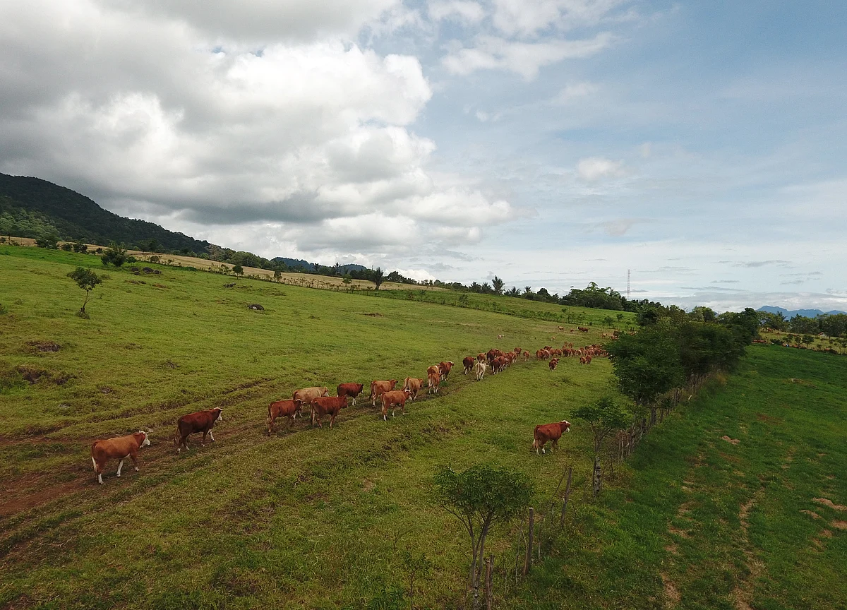 There's More Farmland in the World Than Was Previously Thought
