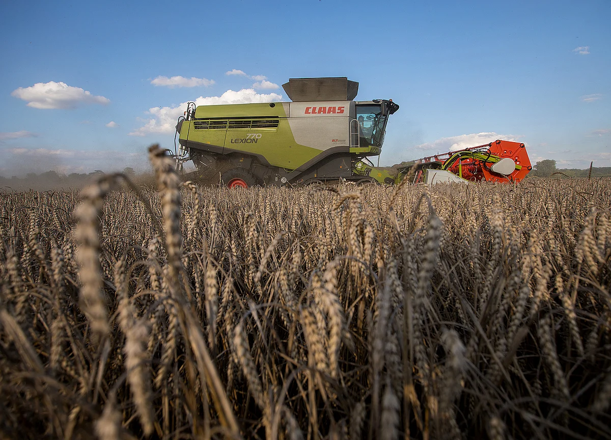 Russia Eyes Up Saudi Wheat Market Dominated by EU Supplies