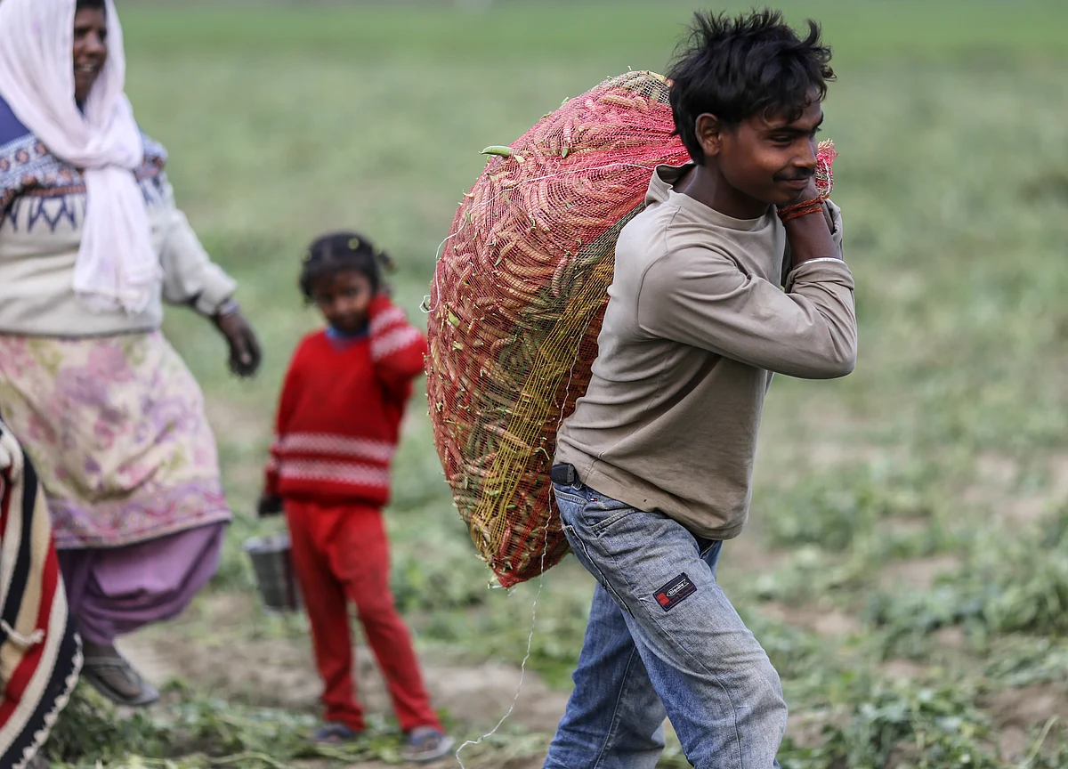 Economic Survey: Climate Change May Cost Farmers Quarter Of Their Income