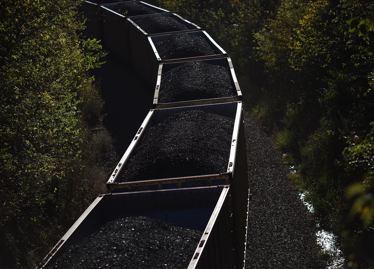 Adani Group Gets Relief From High Court In Coal Import Case