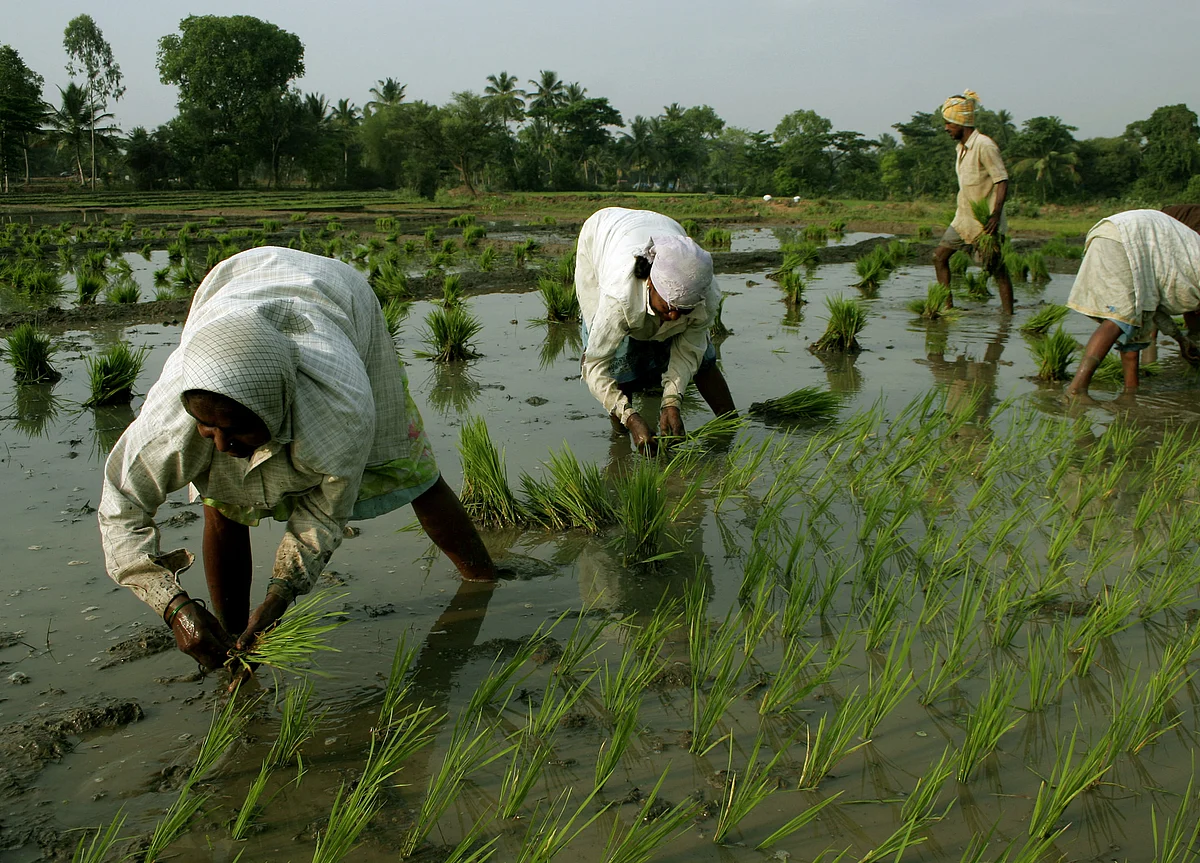 Risk Of Tightening Cycle ‘Very Much Alive’ With Kharif MSP Hike, Economists Say