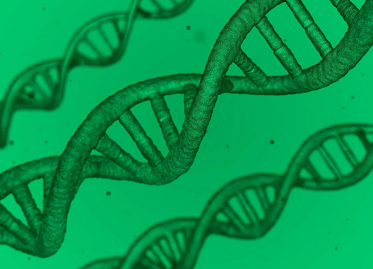 Startup Street: Forget Bitcoin, This Startup Wants Your Genes On The Blockchain