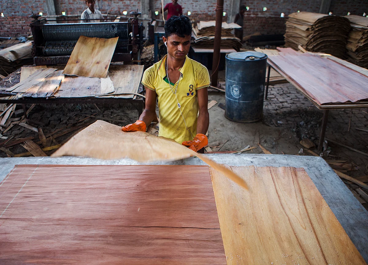Greenply Doesn’t Expect Further Price Cuts In Fibreboard Business